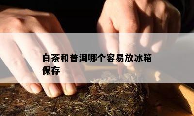 白茶和普洱哪个容易放冰箱保存