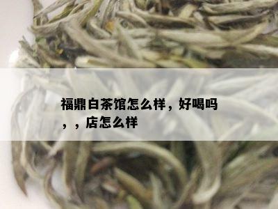 福鼎白茶馆怎么样，好喝吗，，店怎么样