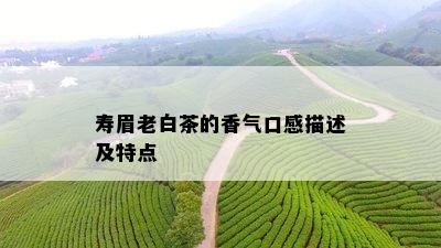 寿眉老白茶的香气口感描述及特点