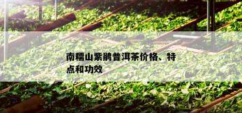 南糯山紫鹃普洱茶价格、特点和功效