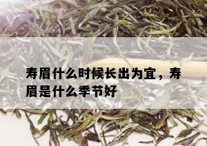 寿眉什么时候长出为宜，寿眉是什么季节好