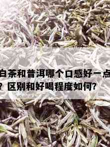 白茶和普洱哪个口感好一点？区别和好喝程度如何？