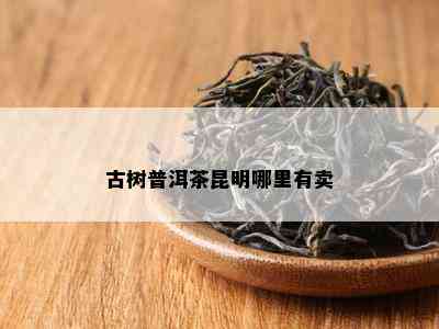 古树普洱茶昆明哪里有卖