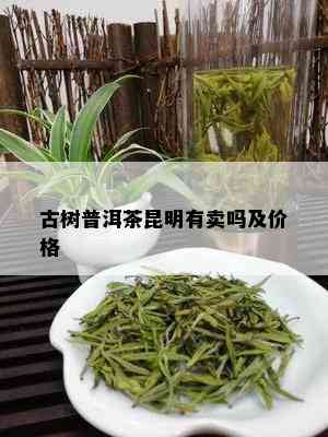 古树普洱茶昆明有卖吗及价格