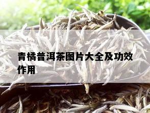 青橘普洱茶图片大全及功效作用