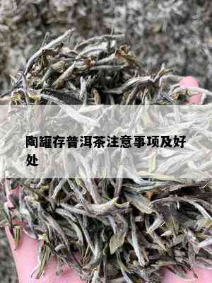 陶罐存普洱茶注意事项及好处