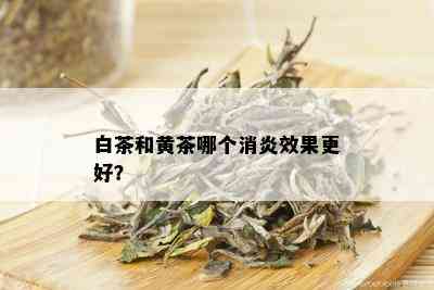 白茶和黄茶哪个消炎效果更好？