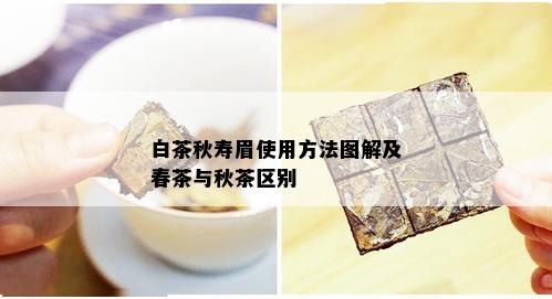 白茶秋寿眉使用方法图解及春茶与秋茶区别