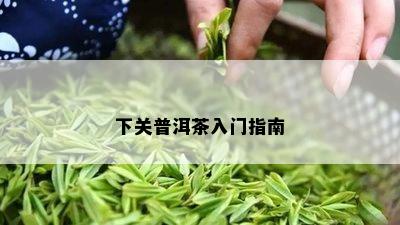 下关普洱茶入门指南