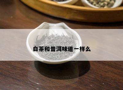 白茶和普洱味道一样么