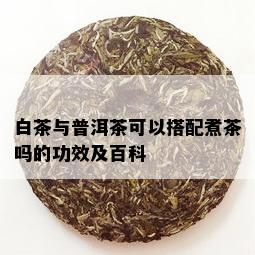 白茶与普洱茶可以搭配煮茶吗的功效及百科