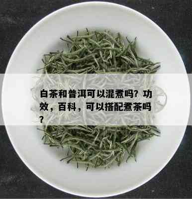 白茶和普洱可以混煮吗？功效，百科，可以搭配煮茶吗？