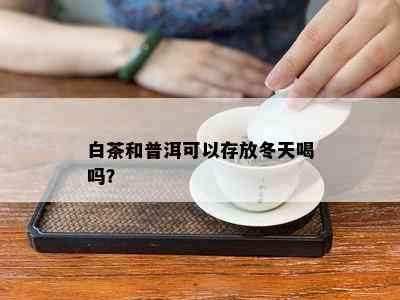 白茶和普洱可以存放冬天喝吗？