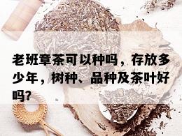 老班章茶可以种吗，存放多少年，树种、品种及茶叶好吗？