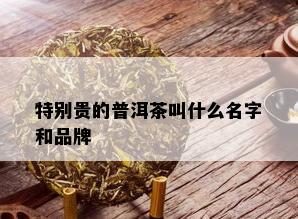 特别贵的普洱茶叫什么名字和品牌