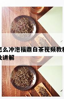 怎么冲泡福鼎白茶视频教程及讲解