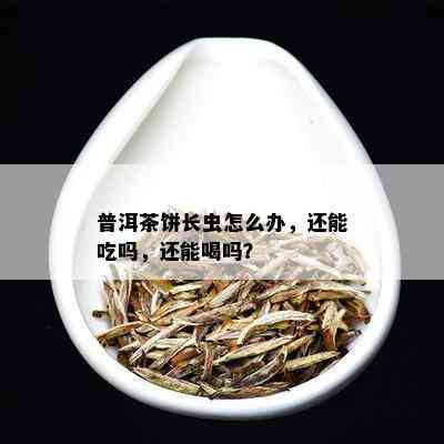 普洱茶饼长虫怎么办，还能吃吗，还能喝吗？