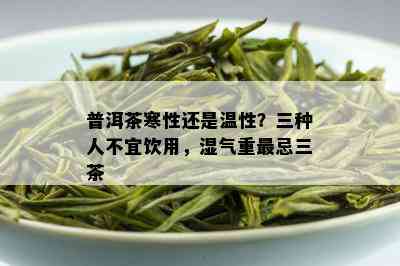 普洱茶寒性还是温性？三种人不宜饮用，湿气重最忌三茶