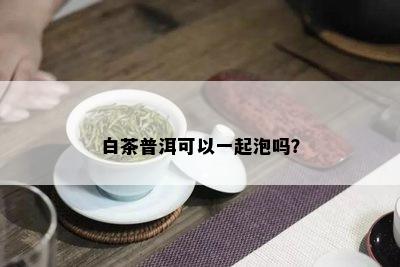 白茶普洱可以一起泡吗？