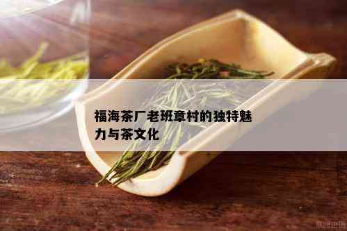 福海茶厂老班章村的独特魅力与茶文化