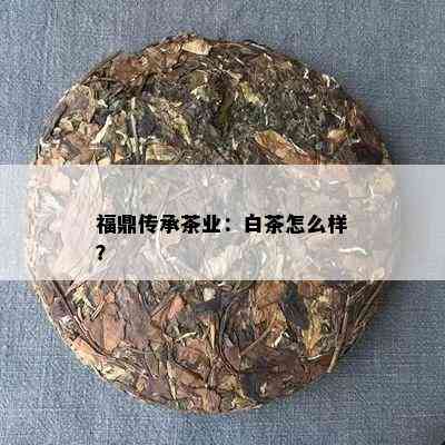 福鼎传承茶业：白茶怎么样？