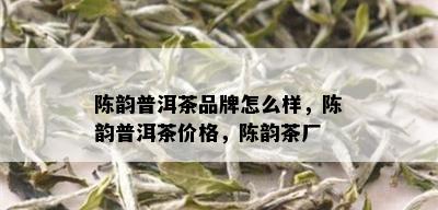 陈韵普洱茶品牌怎么样，陈韵普洱茶价格，陈韵茶厂