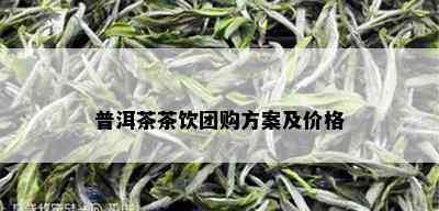 普洱茶茶饮团购方案及价格