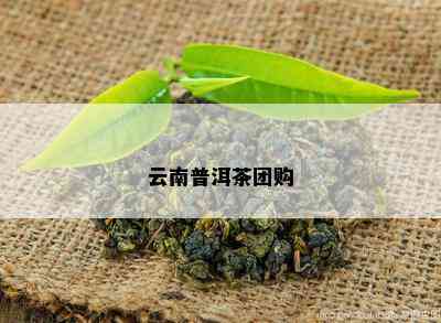 云南普洱茶团购