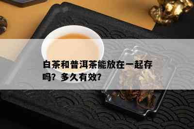 白茶和普洱茶能放在一起存吗？多久有效？