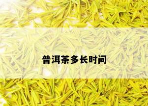 普洱茶多长时间