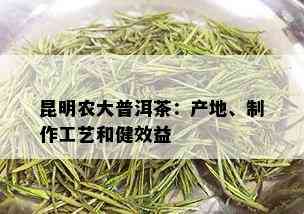 昆明农大普洱茶：产地、制作工艺和健效益