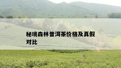 秘境森林普洱茶价格及真假对比