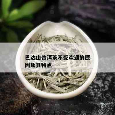 巴达山普洱茶不受欢迎的原因及其特点