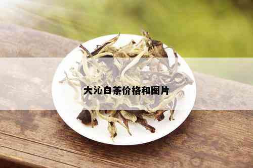 大沁白茶价格和图片