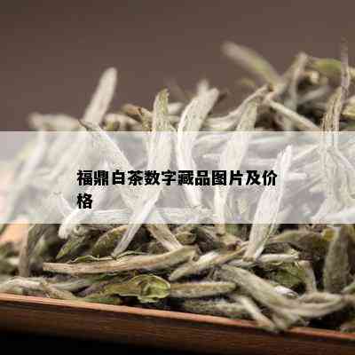 福鼎白茶数字藏品图片及价格