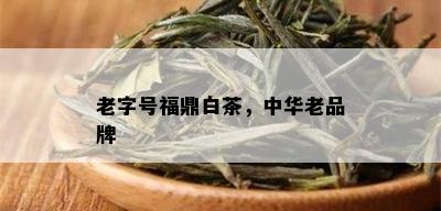 老字号福鼎白茶，中华老品牌