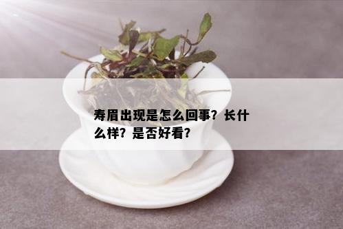 寿眉出现是怎么回事？长什么样？是否好看？