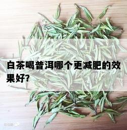 白茶喝普洱哪个更减肥的效果好？