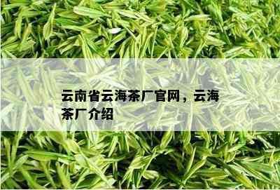 云南省云海茶厂官网，云海茶厂介绍