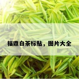 福鼎白茶标贴，图片大全