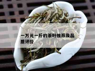 一万元一斤的茶叶推荐及品质评价