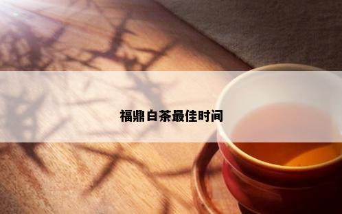 福鼎白茶更佳时间