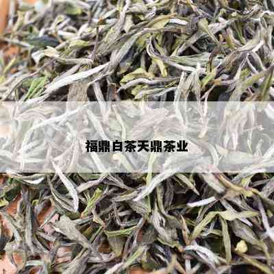 福鼎白茶天鼎茶业