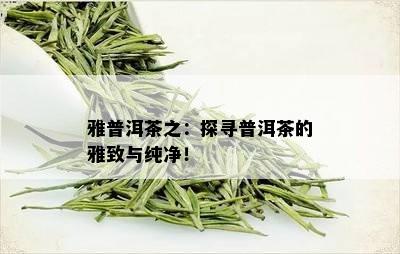 雅普洱茶之：探寻普洱茶的雅致与纯净！