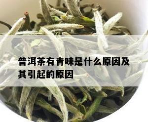 普洱茶有青味是什么原因及其引起的原因