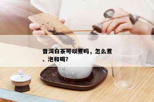 普洱白茶可以煮吗，怎么煮、泡和喝？