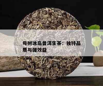 母树冰岛普洱生茶：独特品质与健效益