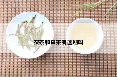 茯茶和白茶有区别吗