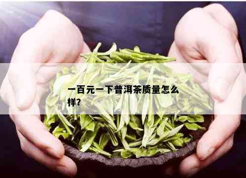 一百元一下普洱茶质量怎么样？