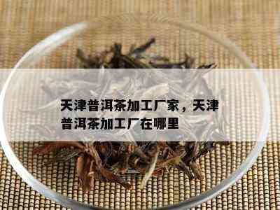 天津普洱茶加工厂家，天津普洱茶加工厂在哪里